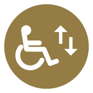 Accessibility Features