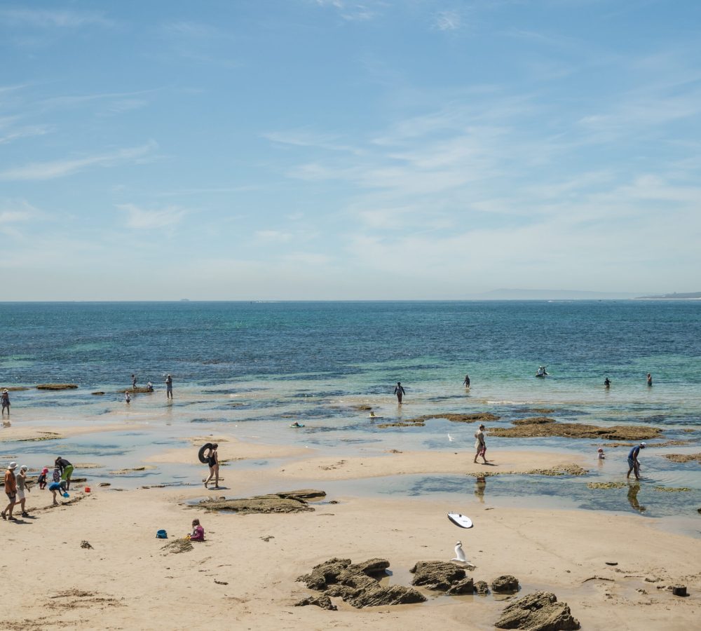 Queenscliff waterfront