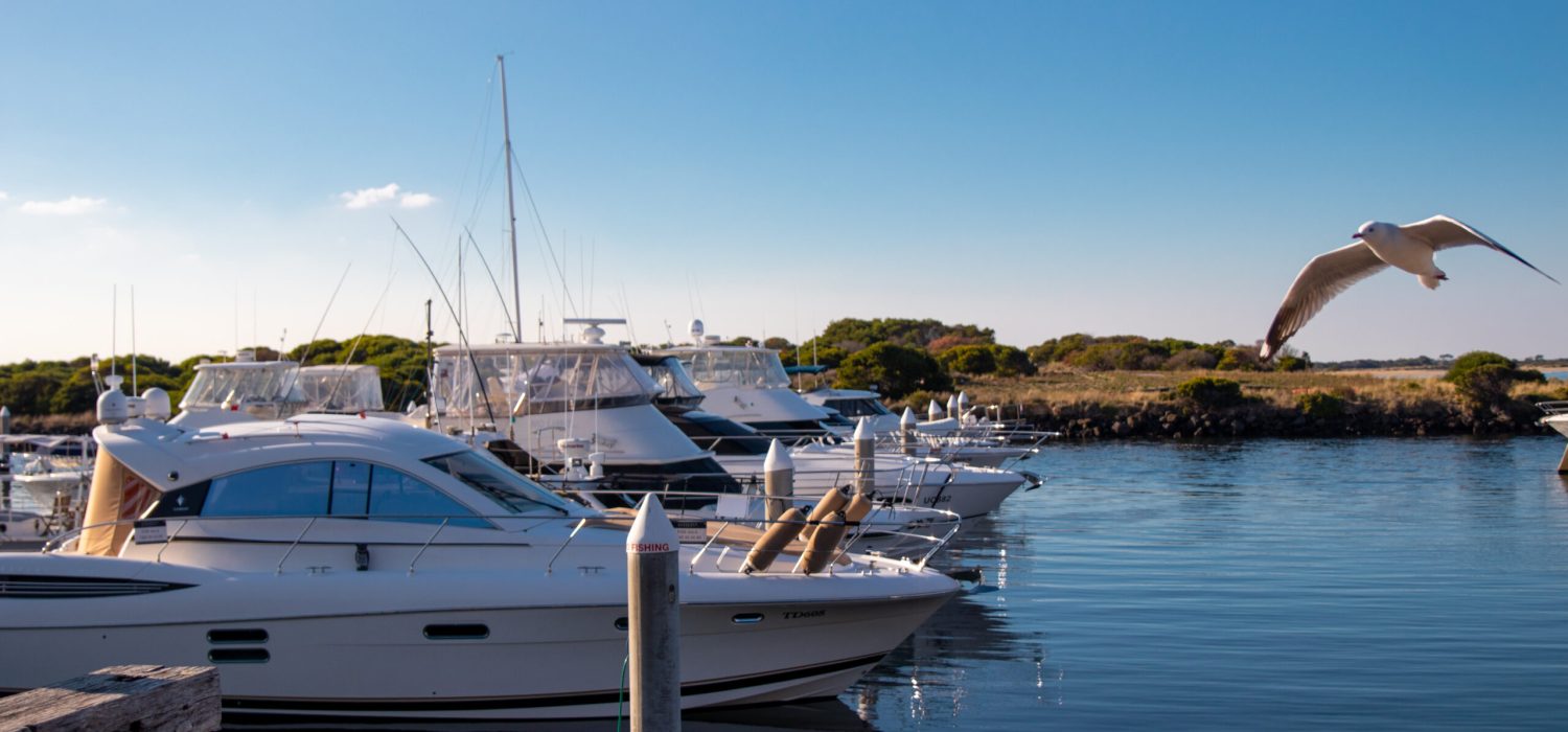 queenscliff harbour (4)